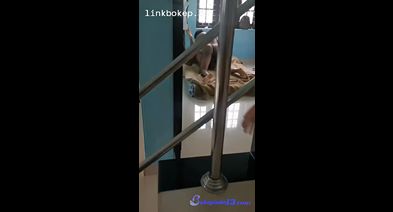 Kepergok Mertua Kena Omel – Bokep Indo